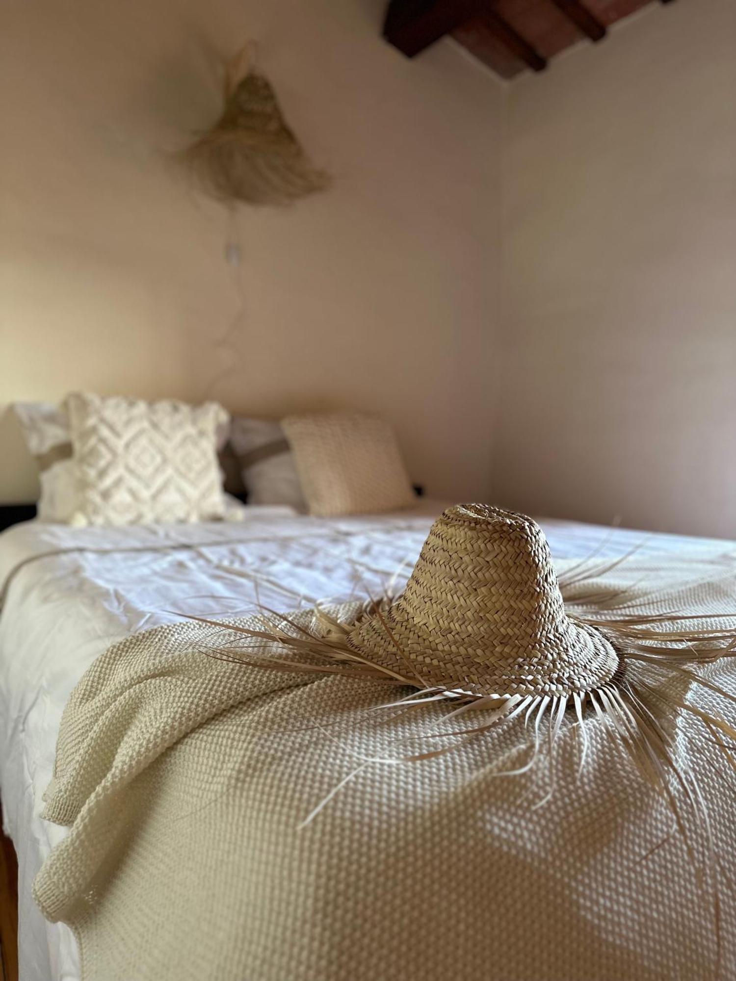 B&B La Vista Brava Platja d'Aro Dış mekan fotoğraf