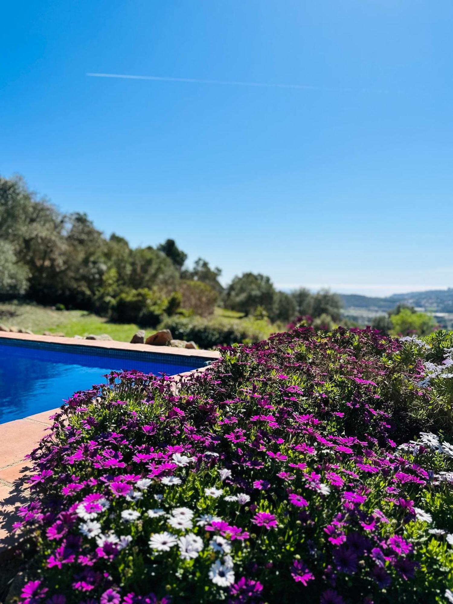 B&B La Vista Brava Platja d'Aro Dış mekan fotoğraf