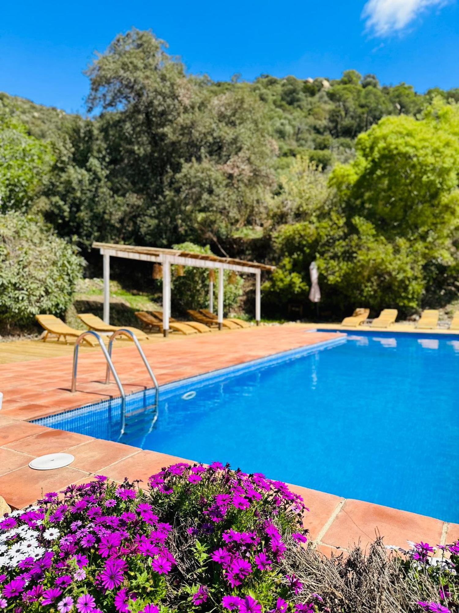 B&B La Vista Brava Platja d'Aro Dış mekan fotoğraf